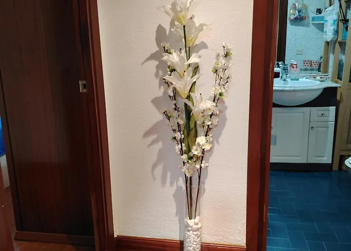 Habitacion Doble Deluxe En Piso Compartido En * Astigarraga