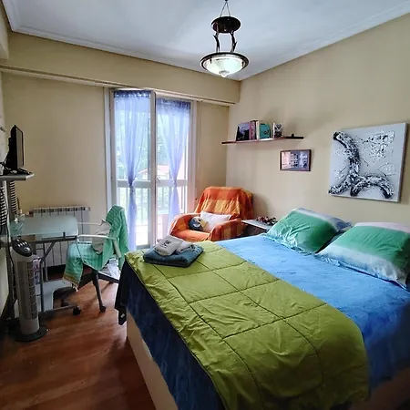 Homestay Habitacion Doble Deluxe En Piso Compartido En Astigarraga